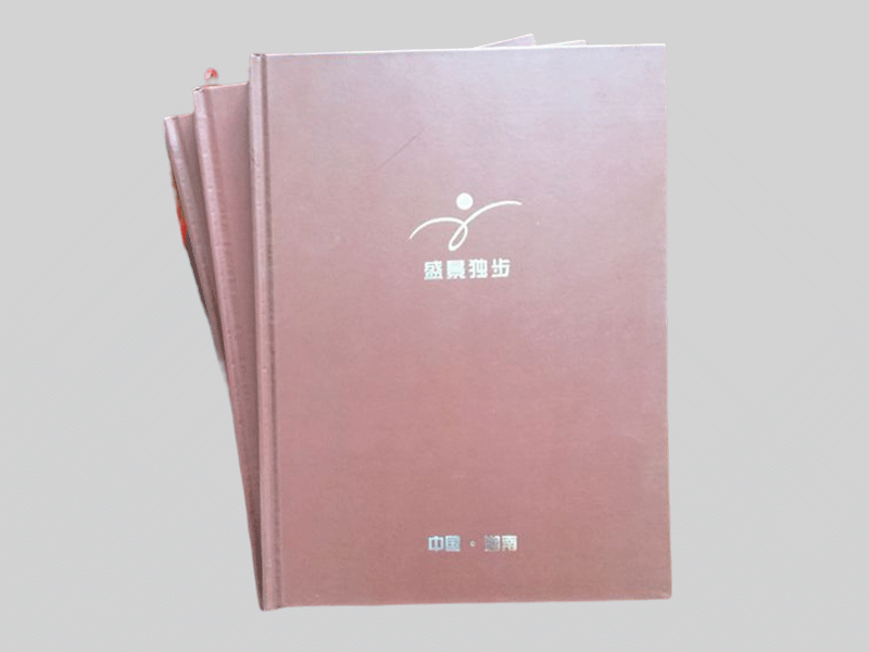 盛景獨(dú)步畫冊印刷